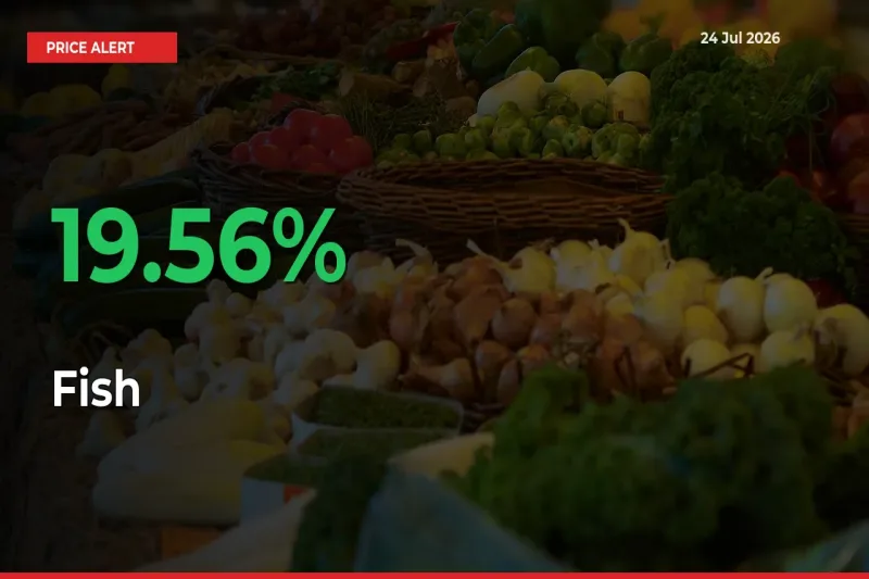 Sharp Jump! Fish Prices Climb 19.56% in 24 Hours at Key Mandis