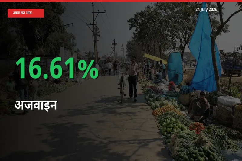 आज का मंडी भाव: अजवाइन के दाम मंडी में 16.61% ऊपर