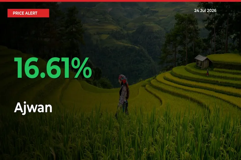 Ajwan Rises 16.61% at Mandis