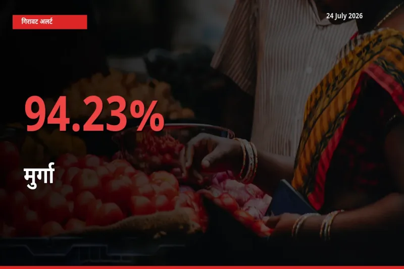 94.23% की गिरावट! मंडी में मुर्गा के दाम अचानक टूटे