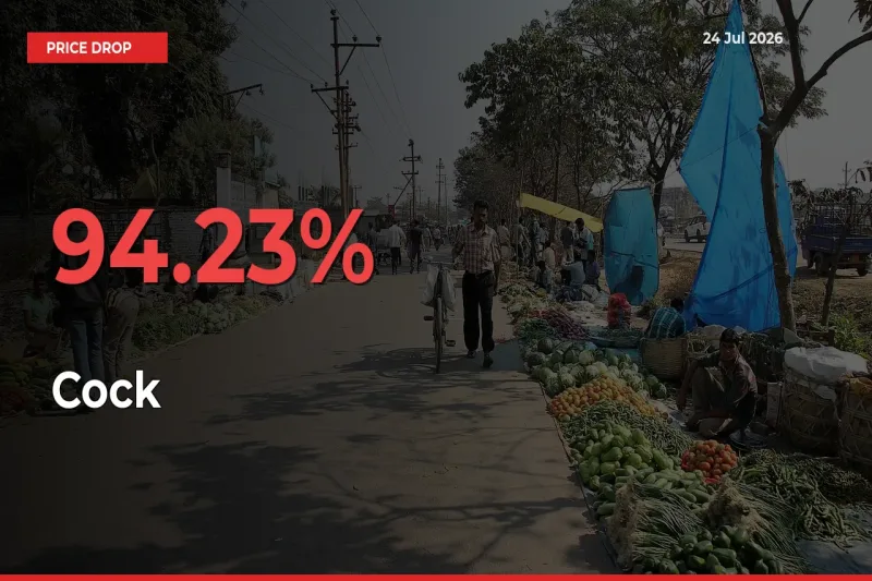 This Mandi Records 94.23% Fall in Cock Prices