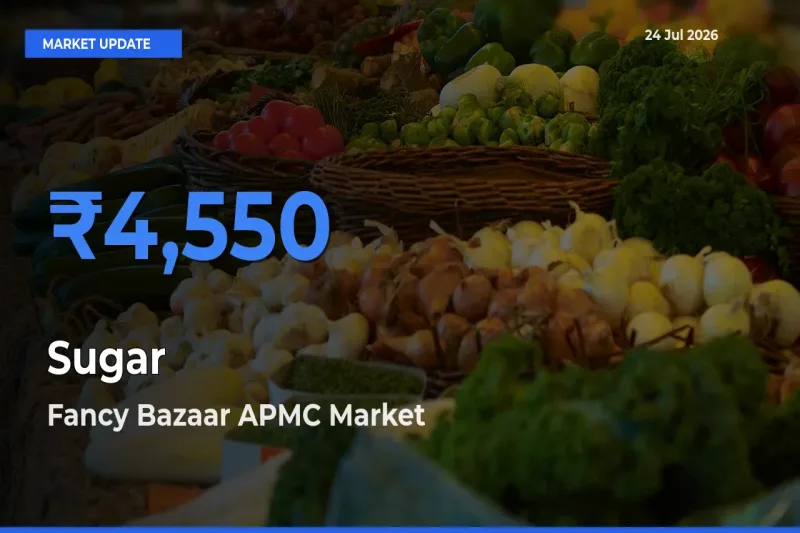 Top Performer! Fancy Bazaar APMC Offers Best Sugar Price Today