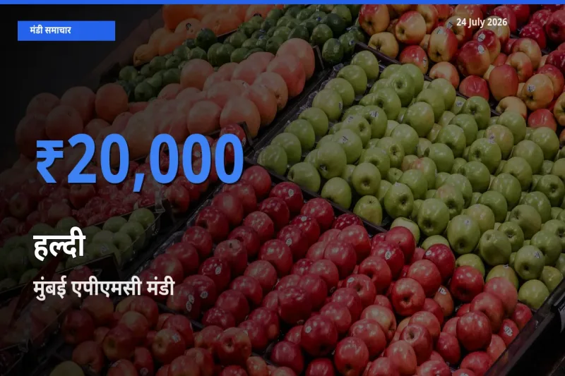बाज़ार संकेत: मुंबई एपीएमसी बना हल्दी के लिए आज की टॉप मंडी