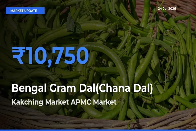 Kakching Market APMC Tops Bengal Gram Dal(Chana Dal) Rates – July 24 Market Update