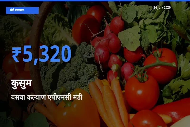 किसानों की पसंद बना बसवा कल्याण एपीएमसी, कुसुम के सबसे अच्छे दाम