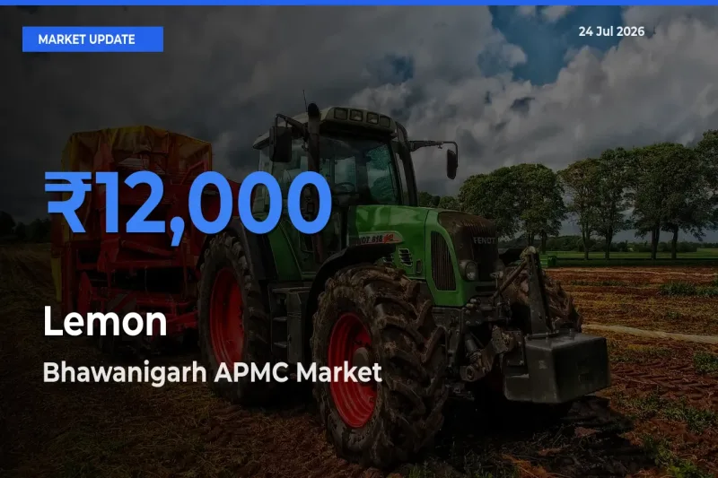 Bhawanigarh APMC Records Highest ₹12,000 Rate for Lemon