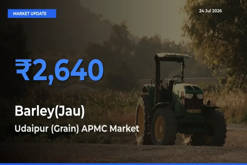 Farmers Prefer Udaipur (Grain) APMC as Barley(Jau) Hits Highest Rate