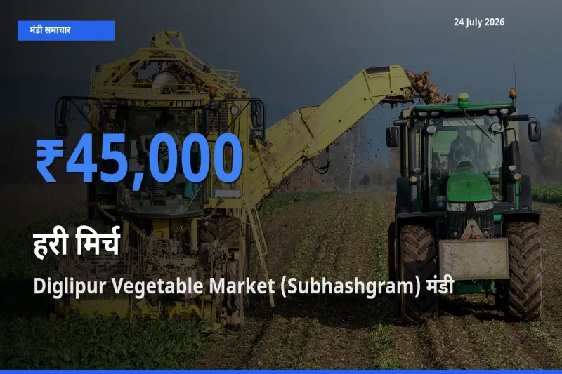 आज का मंडी भाव: हरी मिर्च के सबसे ज़्यादा दाम Diglipur Vegetable Market (Subhashgram) में