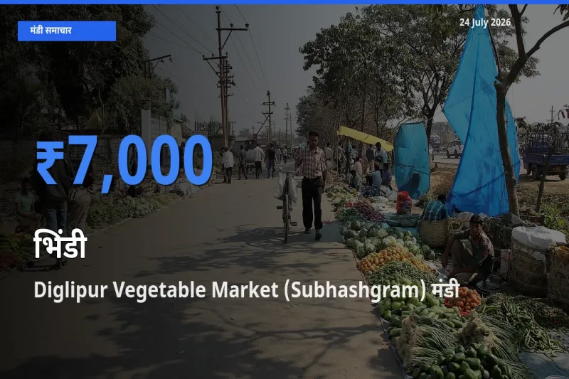आज का मंडी भाव: भिंडी के सबसे ज़्यादा दाम Diglipur Vegetable Market (Subhashgram) में
