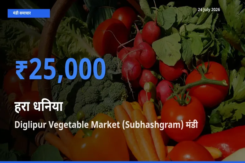 किसानों की पसंद बना Diglipur Vegetable Market (Subhashgram), हरा धनिया के सबसे अच्छे दाम