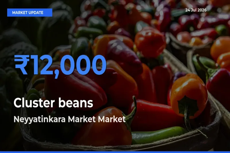 Farmers Prefer Neyyatinkara Market as Cluster beans Hits Highest Rate