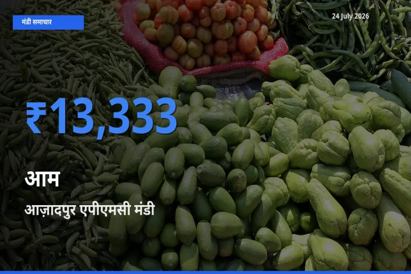 आज का मंडी भाव: आम के सबसे ज़्यादा दाम आज़ादपुर एपीएमसी में