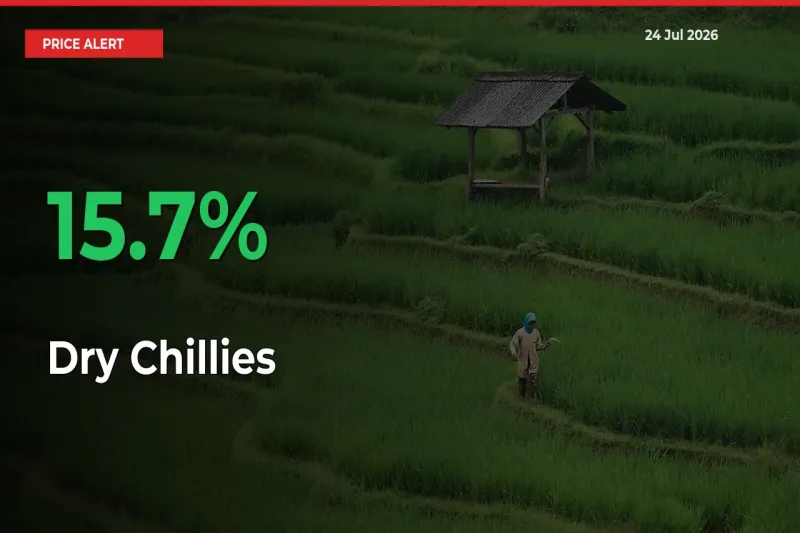 Dry Chillies Mandi Rate Today: Prices Jump 15.7% at Market