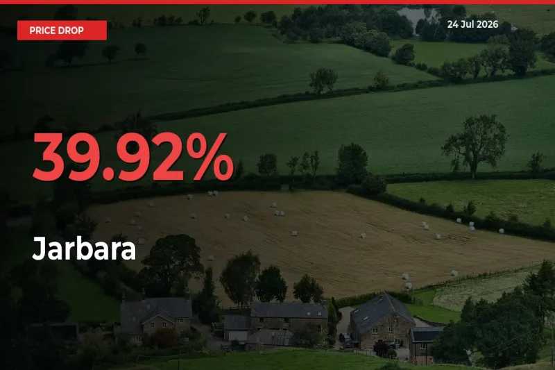 Jarbara Prices Drop 39.92% – July 24 Market Update from Mandis