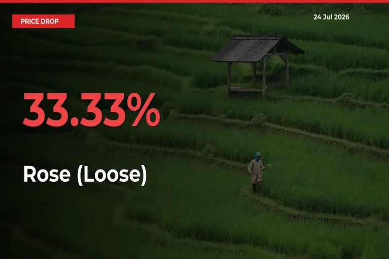 This Mandi Records 33.33% Fall in Rose (Loose) Prices