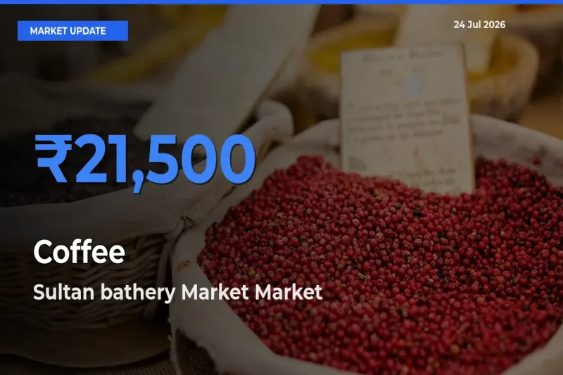 Sultan bathery Market Records Highest ₹21,500 Rate for Coffee