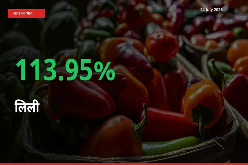 अचानक तेजी! मंडी में लिली के दाम 113.95% चढ़े
