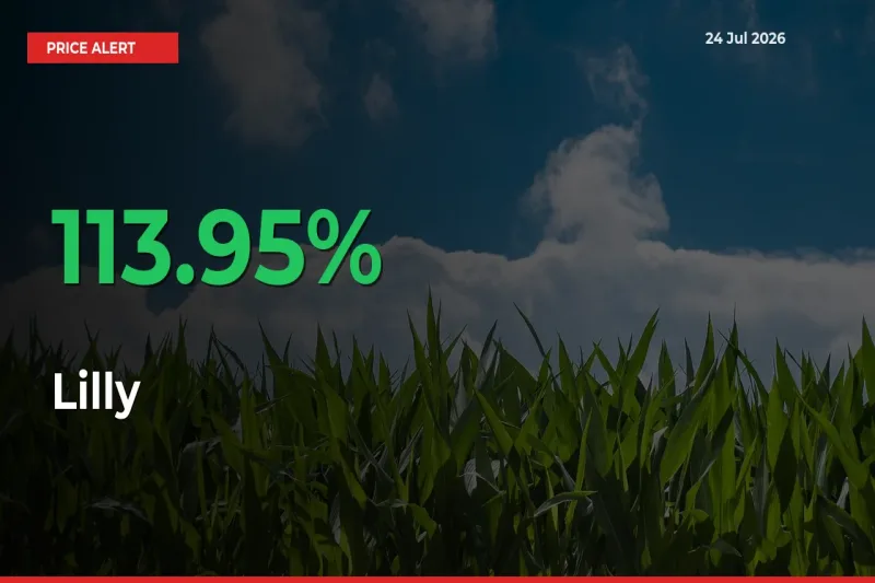 Lilly Rises 113.95% at Mandis