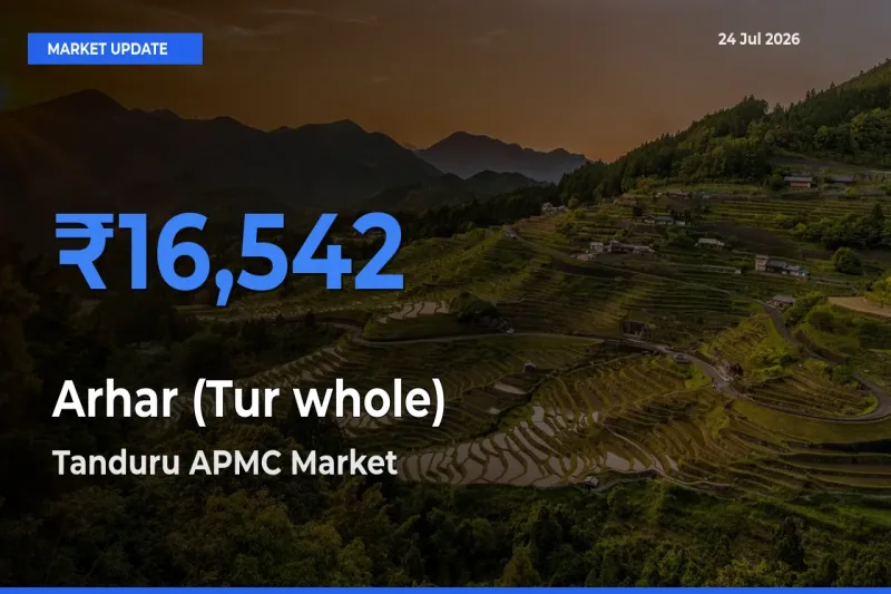Tanduru APMC Leads as Top Mandi for Arhar (Tur whole) Prices