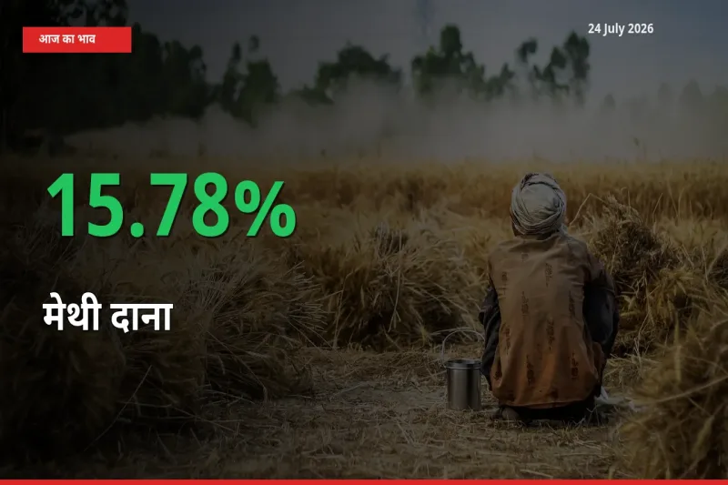 स्थानीय मंडी में मेथी दाना के दाम अचानक 15.78% उछले, किसान सतर्क