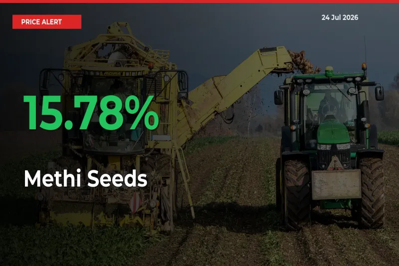 Why Methi Seeds Prices Rose 15.78% in a Day at Mandis