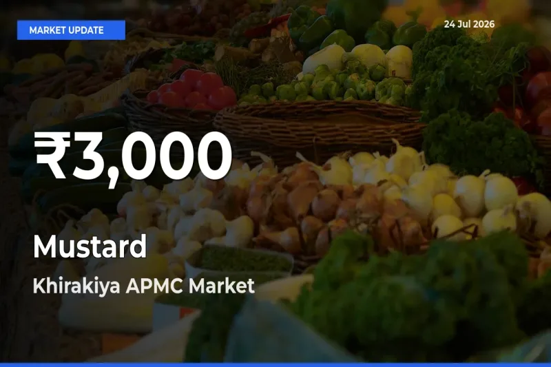 Mustard Falls to ₹3,000 in Khirakiya APMC – 30-Day Lowest Rate