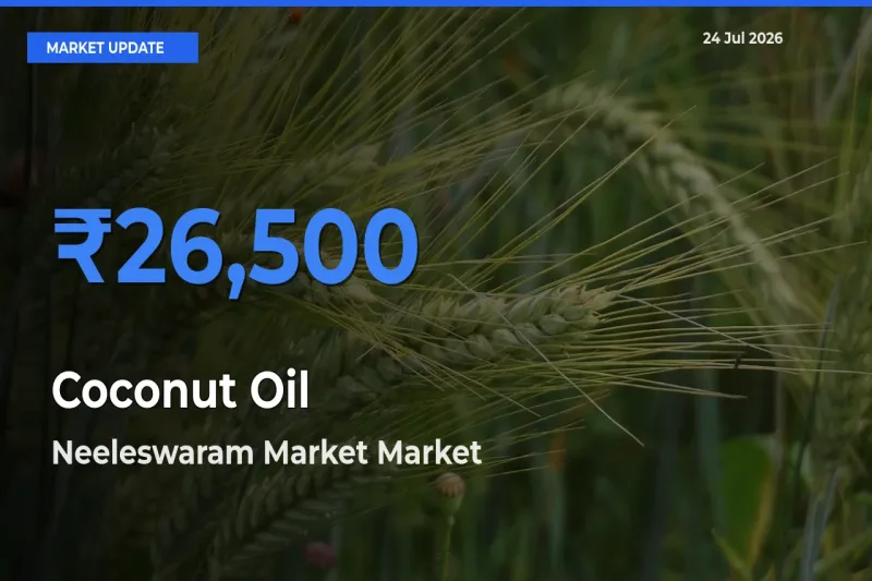Neeleswaram Market Offers ₹26,500 – Highest Coconut Oil Rate Today