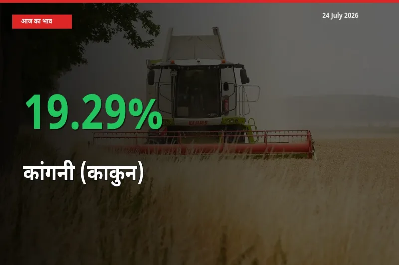 आज का मंडी भाव: कांगनी (काकुन) के दाम मंडी में 19.29% ऊपर