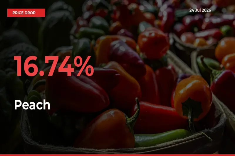 Peach Falls 16.74% at Mandis
