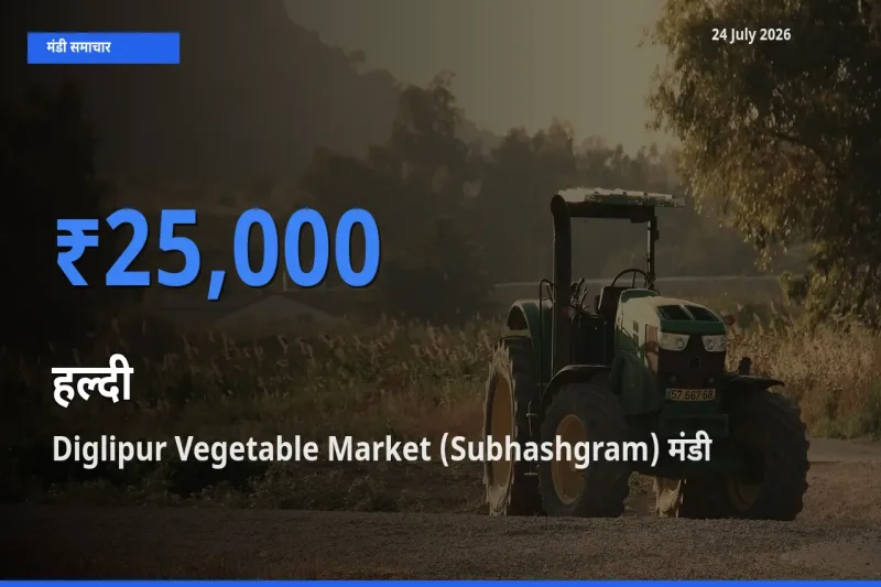 Diglipur Vegetable Market (Subhashgram) में हल्दी का आज सबसे ऊँचा भाव