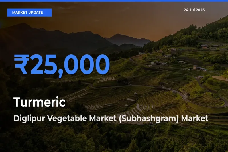 Diglipur Vegetable Market (Subhashgram) Offers ₹25,000 – Highest Turmeric Rate Today