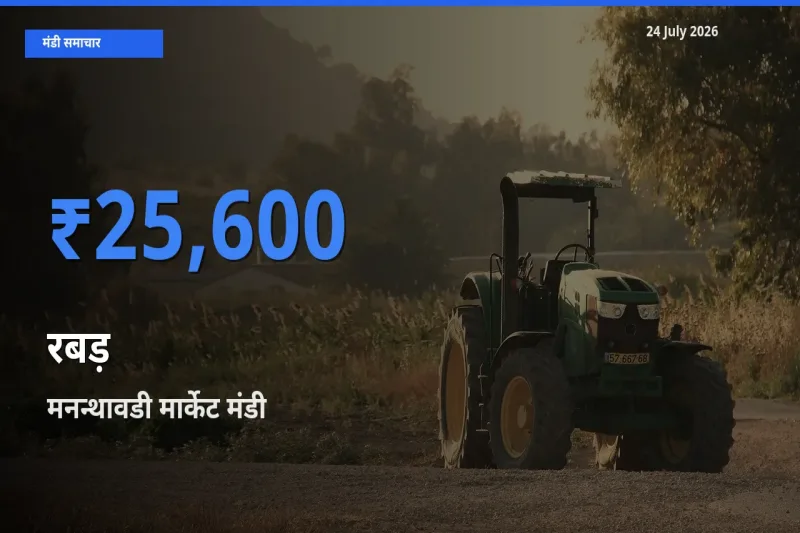 टॉप मंडी बना मनन्थावडी मार्केट! रबड़ के सबसे ऊँचे दाम यहीं दर्ज