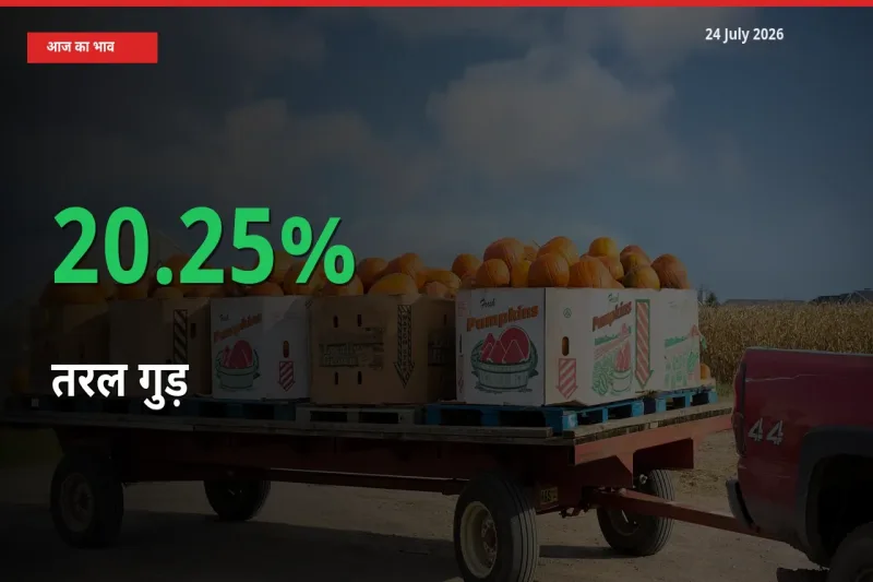 किसानों के लिए खुशखबरी! स्थानीय मंडी में तरल गुड़ 20.25% उछला