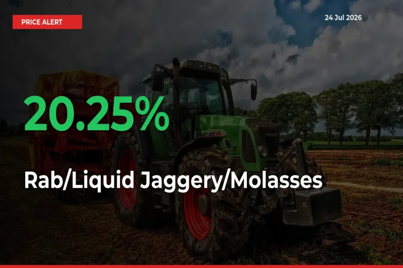 Rab/Liquid Jaggery/Molasses Rises 20.25% at Mandis