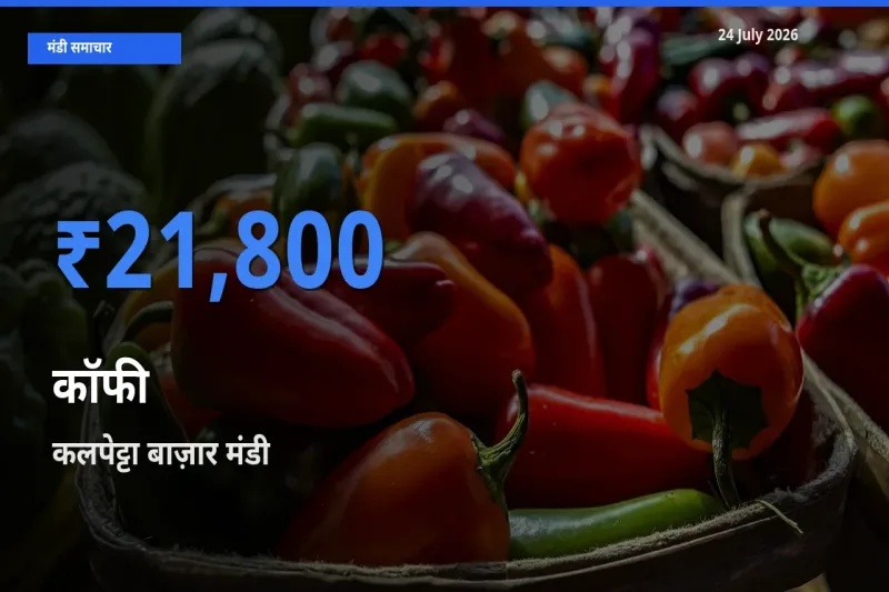 कलपेट्टा बाज़ार में कॉफी का आज सबसे ऊँचा भाव