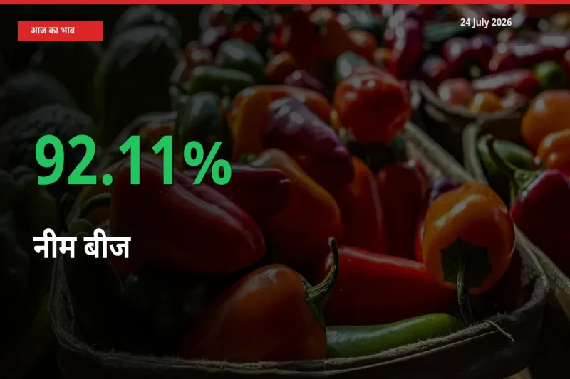 नीम बीज के दाम प्रमुख मंडी में 92.11% बढ़े, 24 घंटे में बड़ा बदलाव