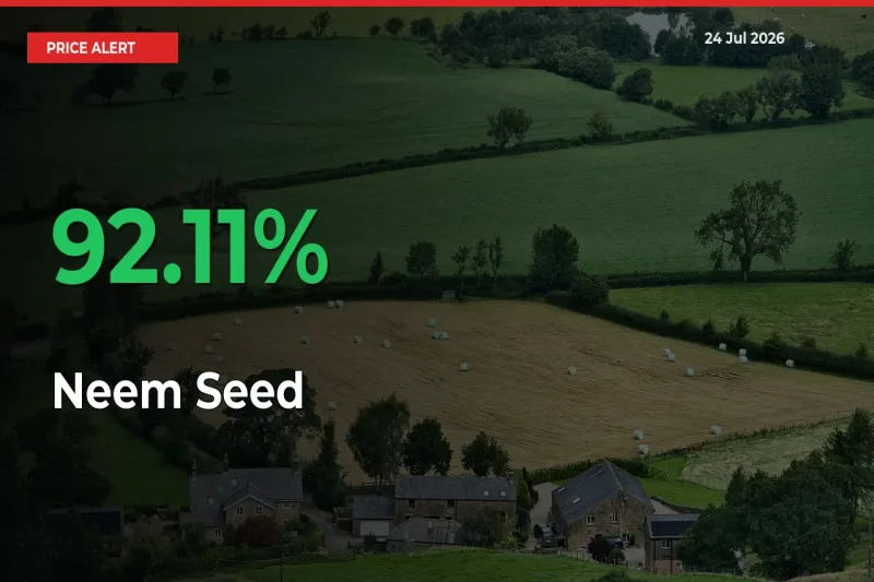 Neem Seed Rises 92.11% at Mandis