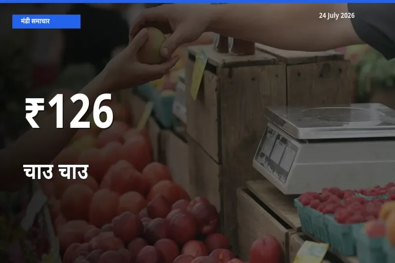 कई मंडियों में चाउ चाउ के भाव बदले – बाज़ार में बड़ा संकेत