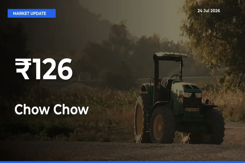 Chow Chow Shows Strong Mandi Trend – July 24 Market Update