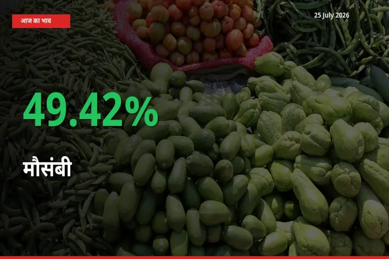 आज का मंडी भाव: मौसंबी के दाम मंडी में 49.42% ऊपर