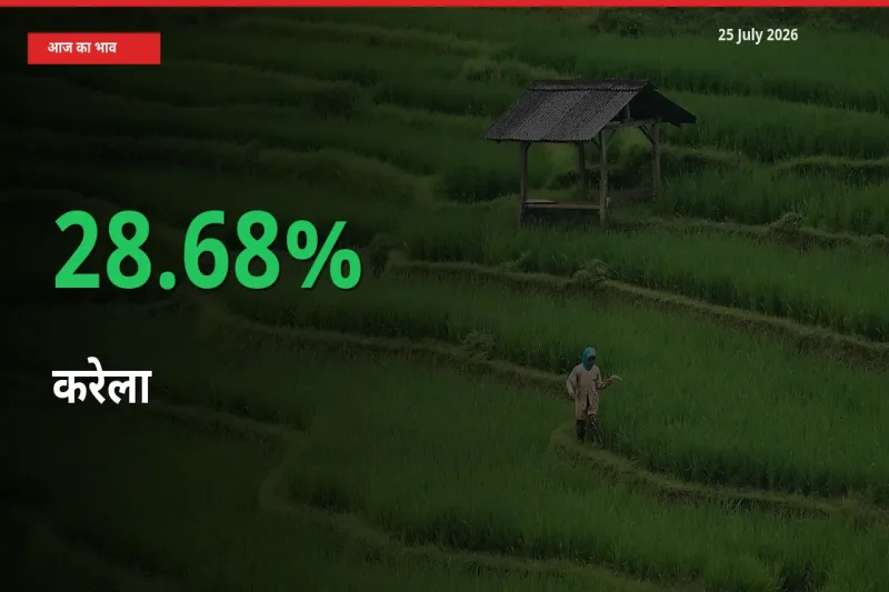 बाज़ार संकेत: करेला के भाव मंडी में 28.68% ऊपर