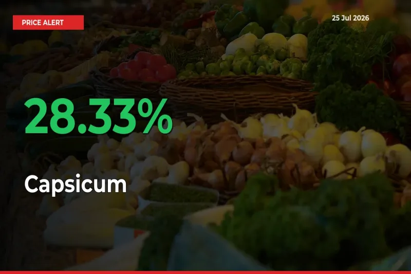 Capsicum Rises 28.33% at Mandis
