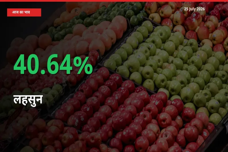 स्थानीय मंडी में लहसुन के दाम अचानक 40.64% उछले, किसान सतर्क