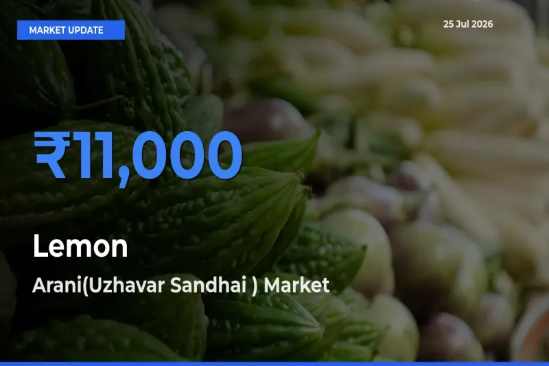 Farmers Prefer Arani(Uzhavar Sandhai ) as Lemon Hits Highest Rate