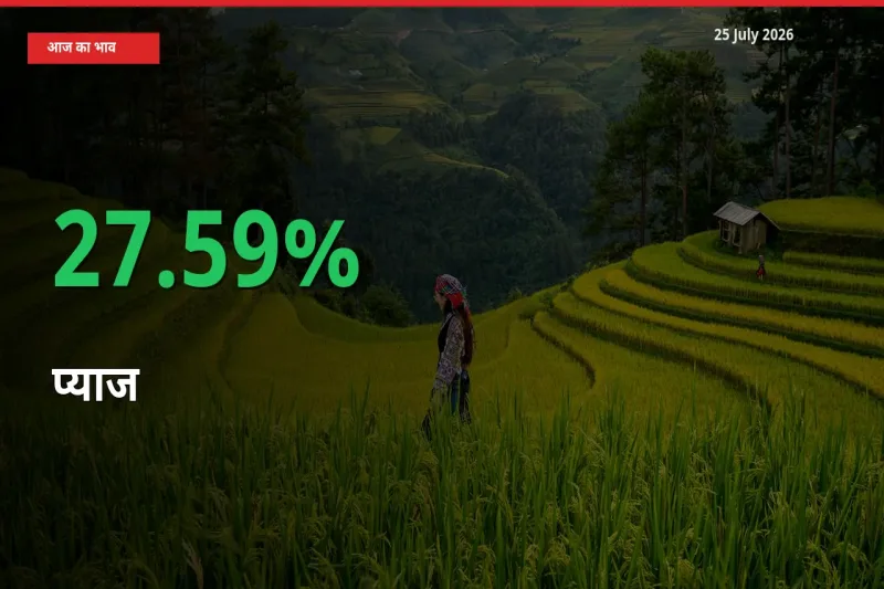प्याज 27.59% उछला, मंडी