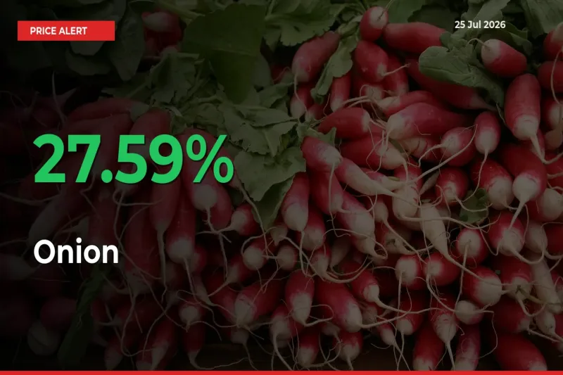 Onion Rises 27.59% at Mandis