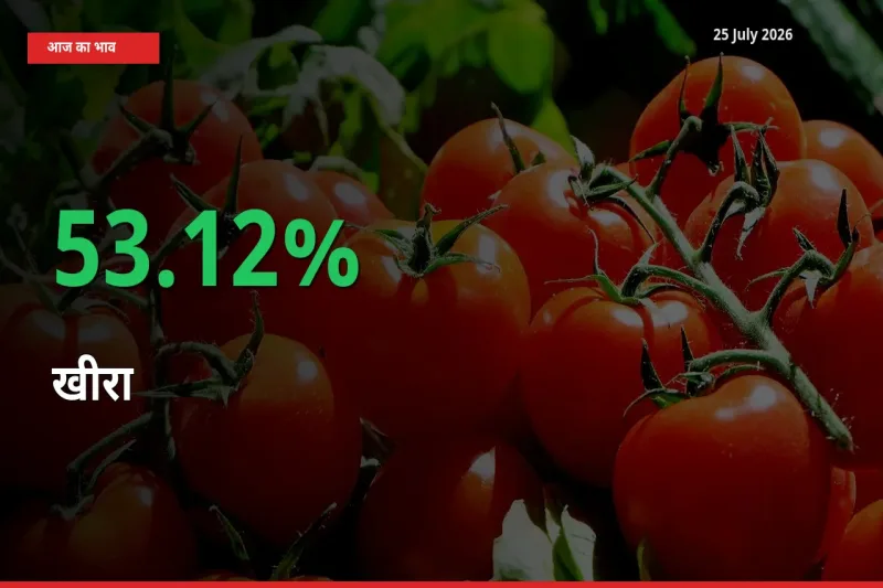 खीरा के दाम प्रमुख मंडी में 53.12% बढ़े, 24 घंटे में बड़ा बदलाव