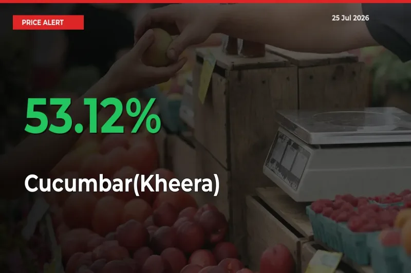 Why Cucumbar(Kheera) Prices Rose 53.12% in a Day at Mandis