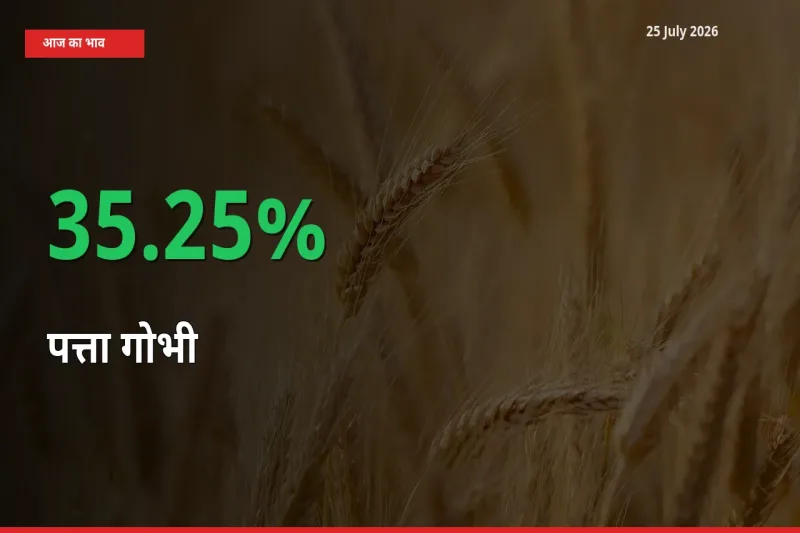 तेज़ तेजी! मंडी में पत्ता गोभी के दाम 35.25% चढ़े