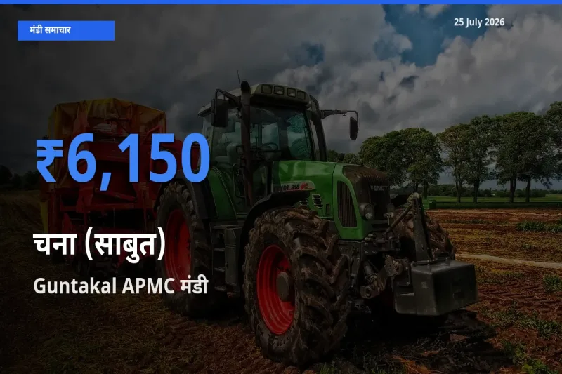आज चना (साबुत) के सबसे ज़्यादा दाम Guntakal APMC मंडी में दर्ज